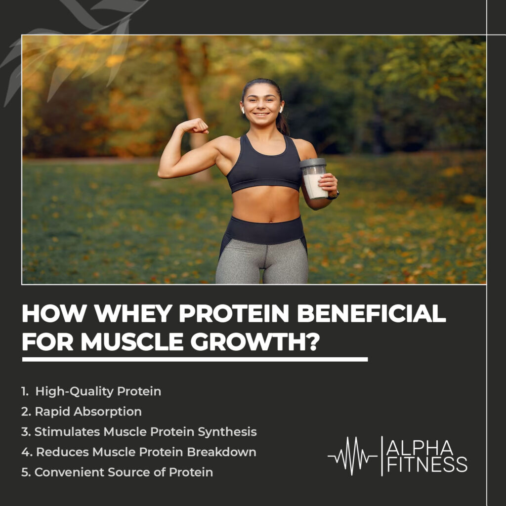 How whey protein beneficial for muscle growth?
