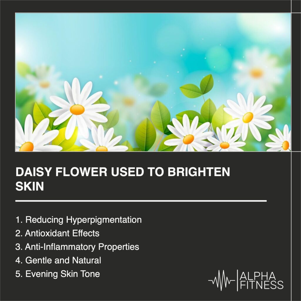 Daisy Flower used to brighten skin - AlphaFitness.Health
