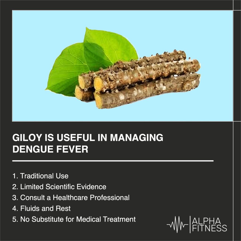 Giloy is useful in managing dengue fever - AlphaFitness.Health