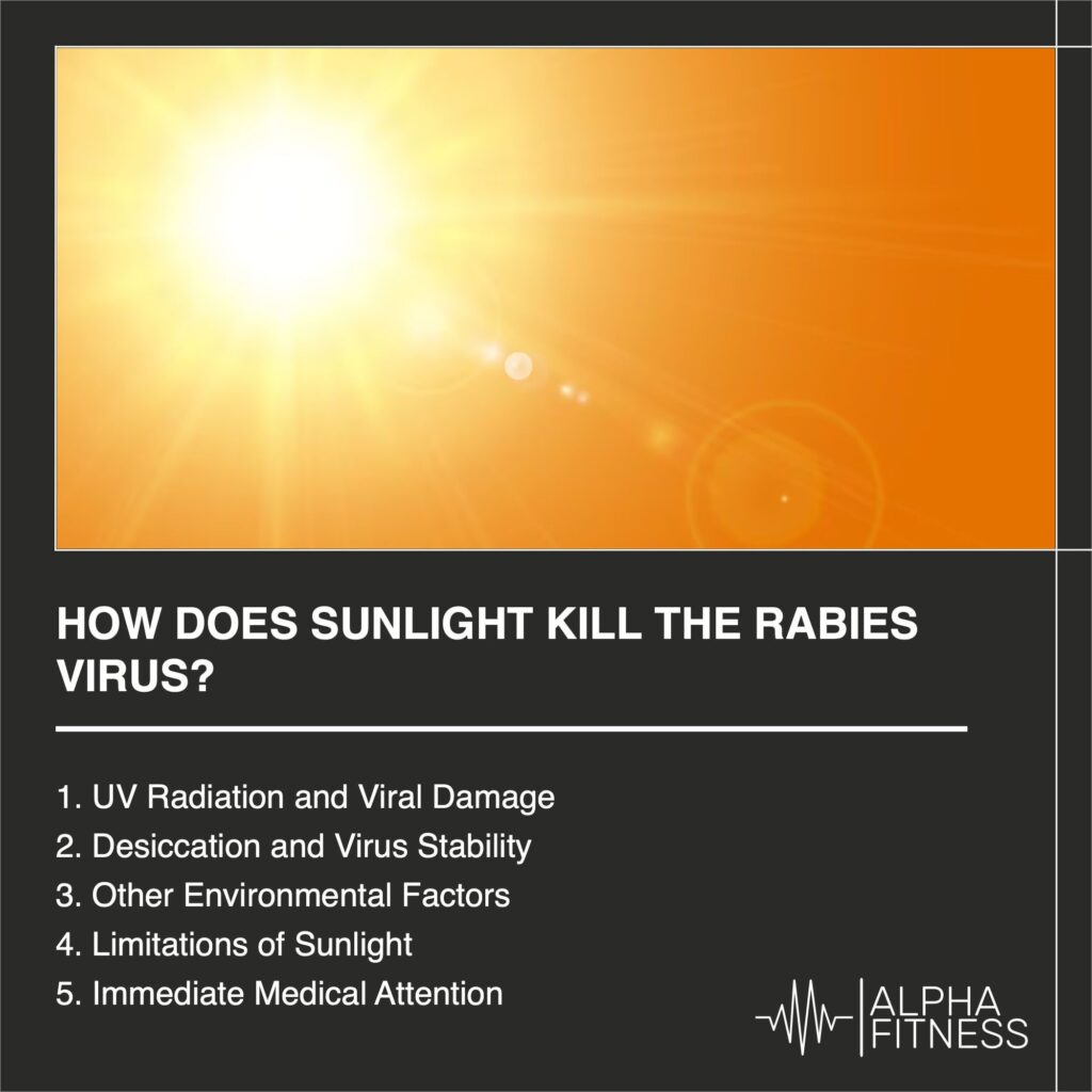 How does sunlight kill the rabies virus? - AlphaFitness.Health