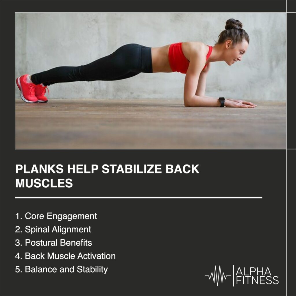 Planks help stabilize back muscles - AlphaFitness.Health