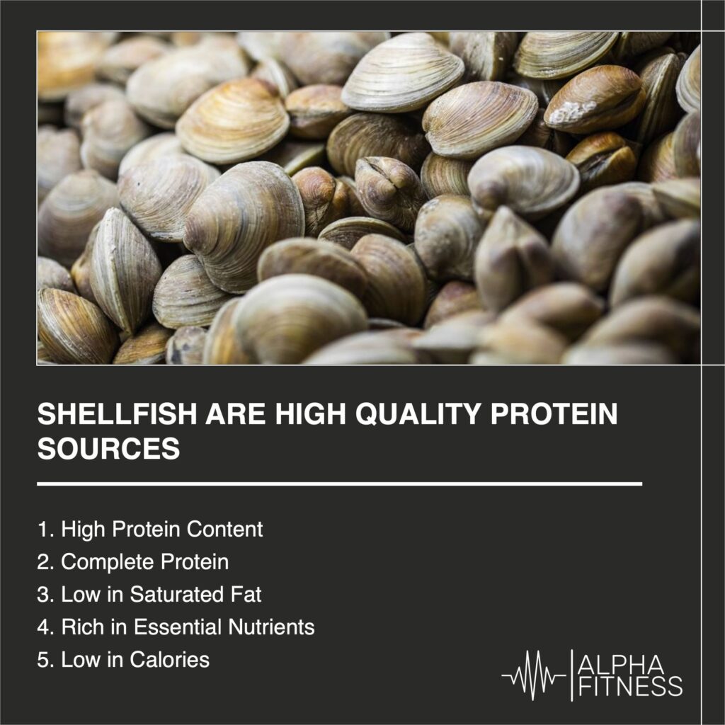 Shellfish are high quality protein sources - AlphaFitness.Health