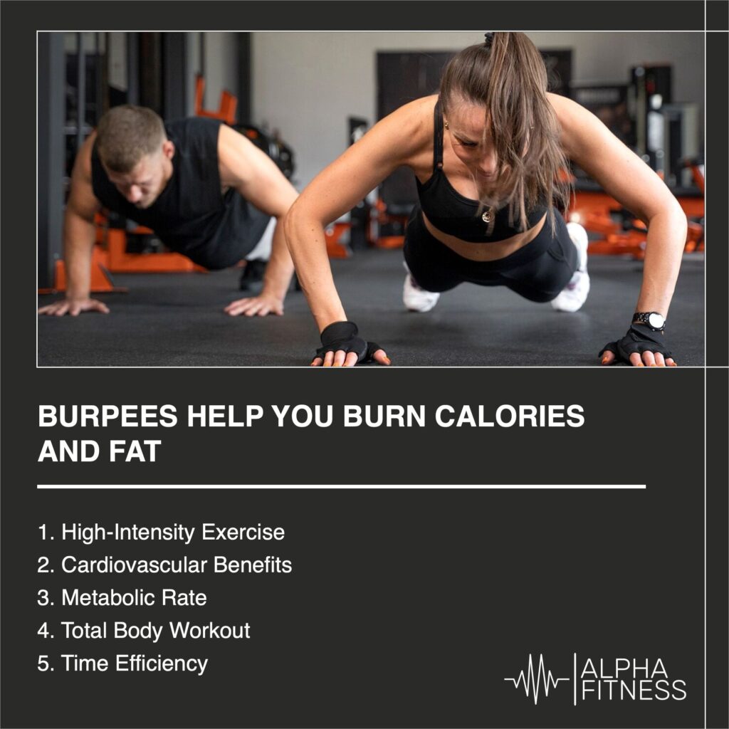 Burpees Help You Burn Calories and Fat - AlphaFitness.Health