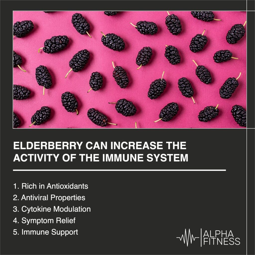 Elderberry can increase the activity of the immune system - AlphaFitness.Health