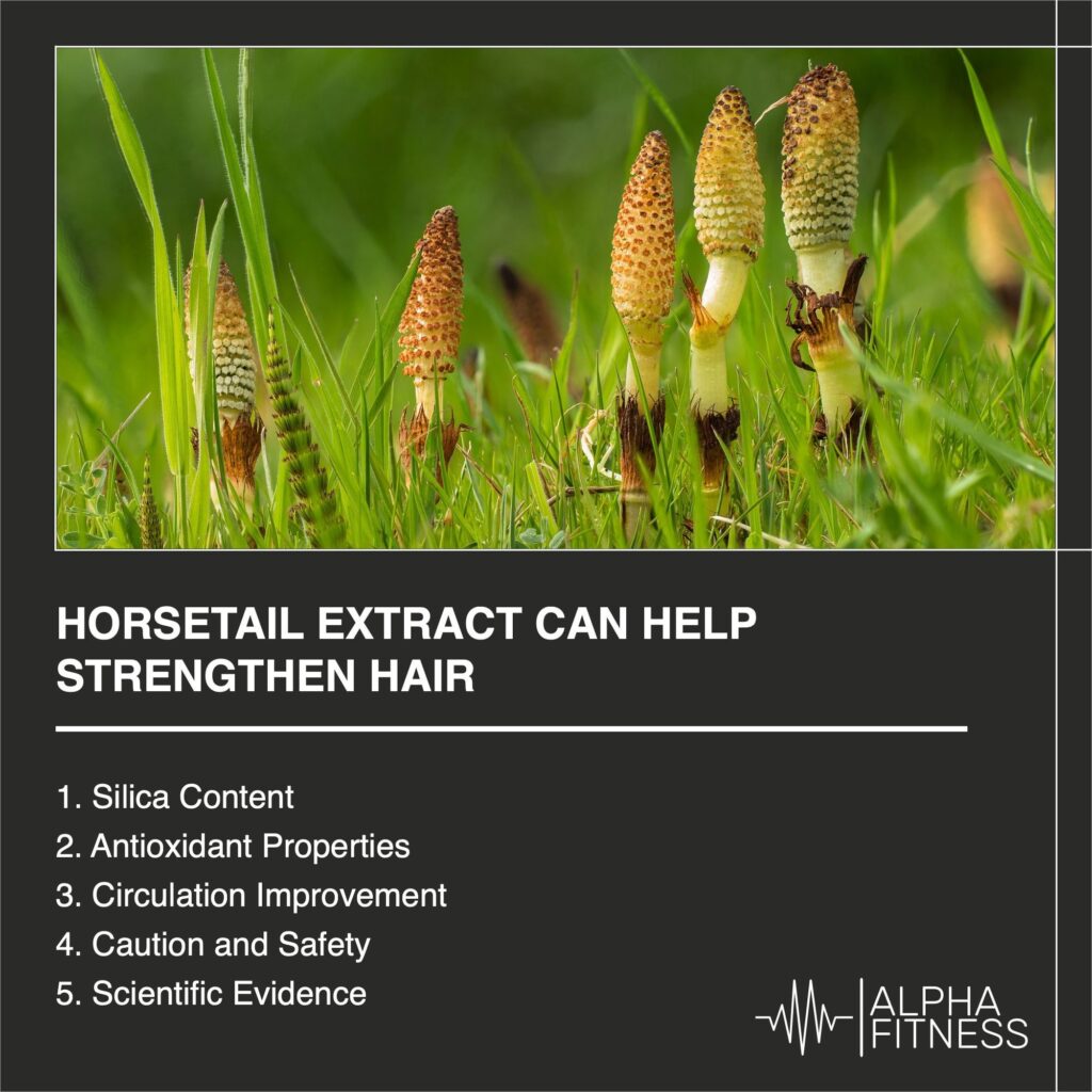 Horsetail Extract can help strengthen hair - AlphaFitness.Health