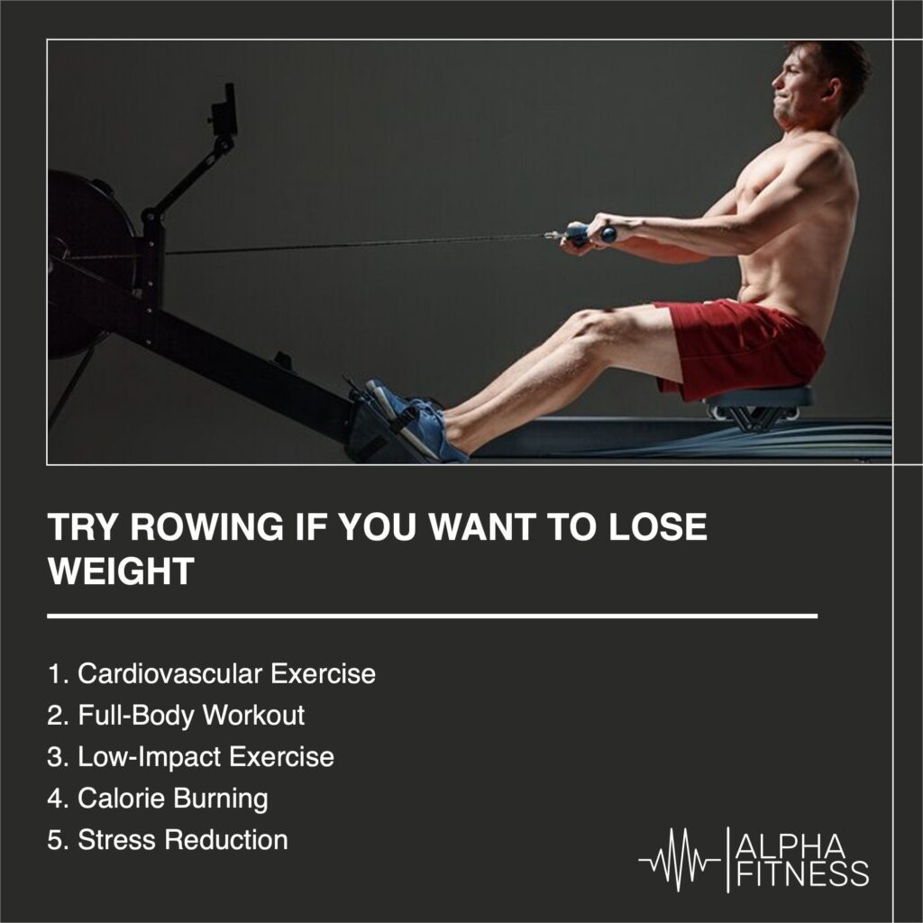 Try rowing if you want to lose weight - AlphaFitness.Health