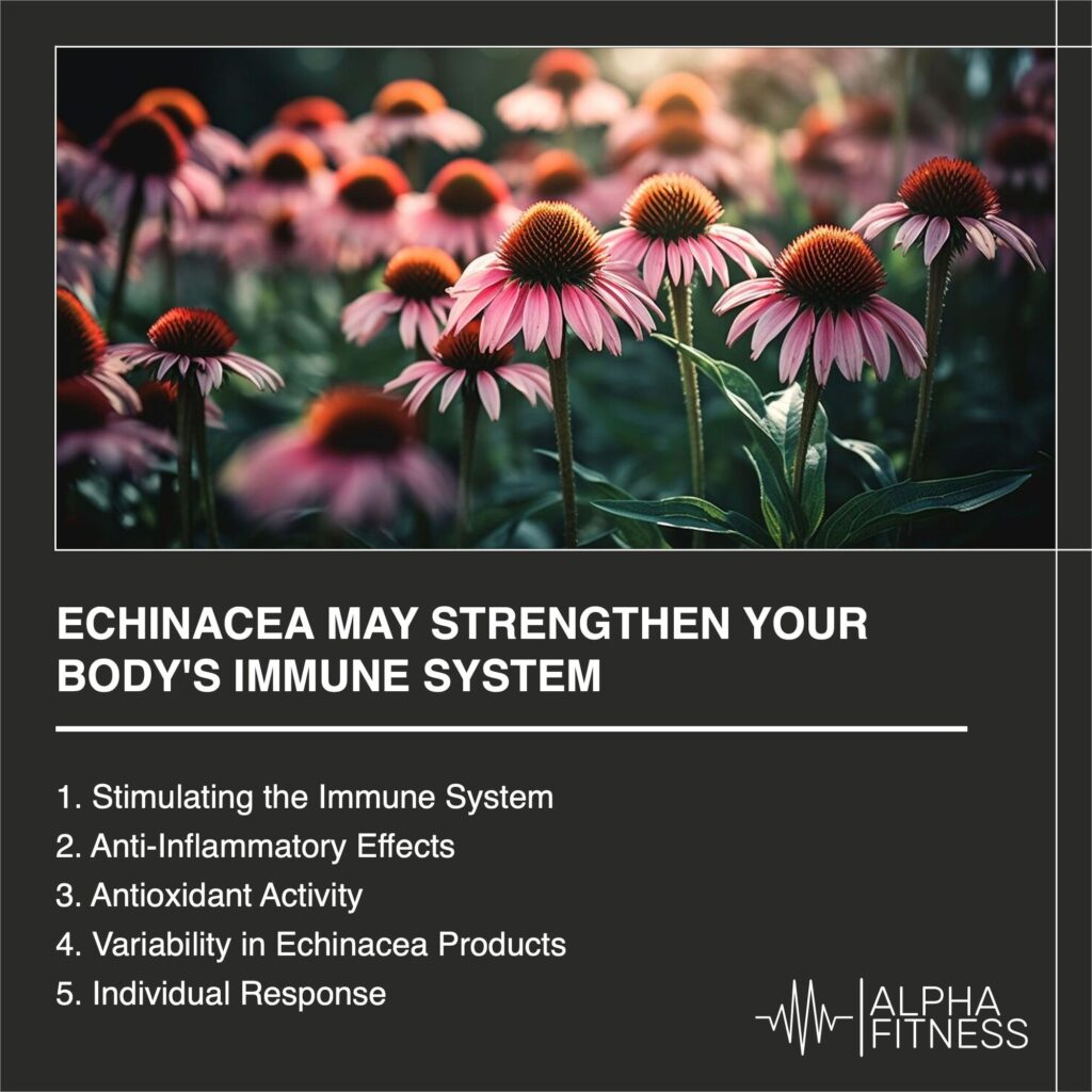 Echinacea may strengthen your body's immune system - AlphaFitness.Health