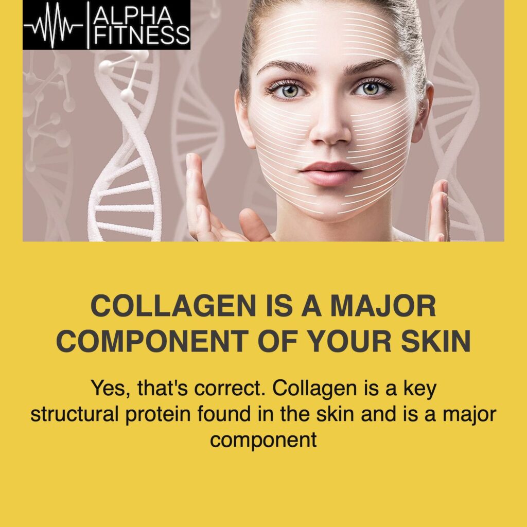 Collagen is a major component of your skin - alphafitness.health