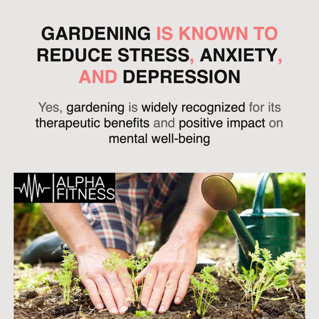 Gardening is known to reduce stress, anxiety, and depression - alphafitness.health